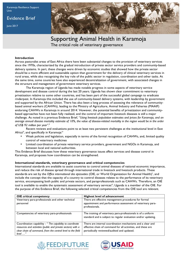 Rule of law assistance : final report