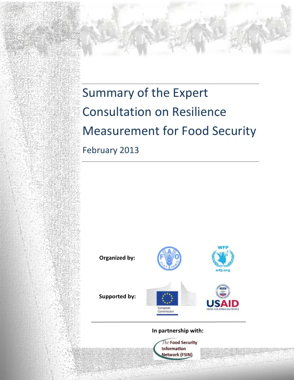 Summary of the expert consultation on resilience measurement for food security