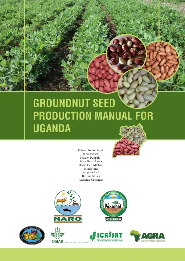 Groundnut seed production manual for Uganda