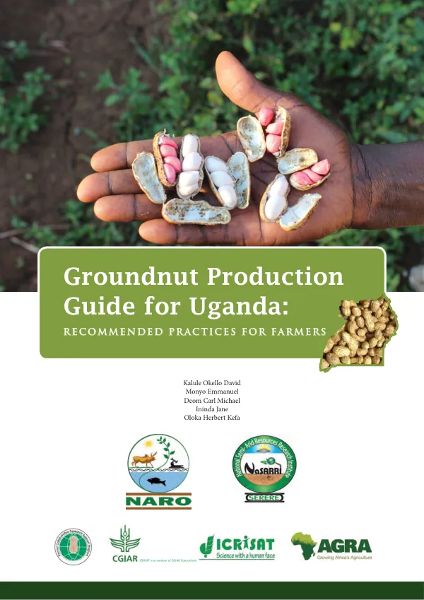 Groundnut production guide for Uganda : recommended practices for farmers
