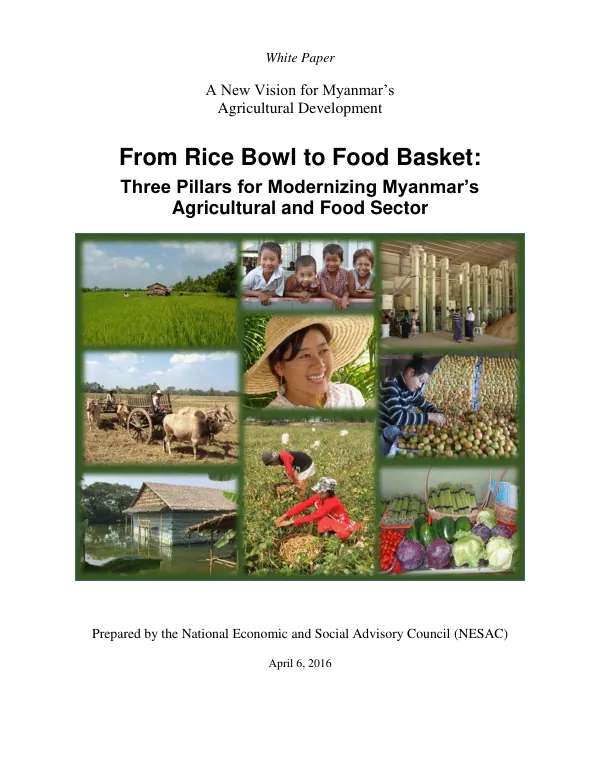 From Rice Bowl to Food Basket: Three Pillars for Modernizing Myanmar’s Agricultural and Food Sector