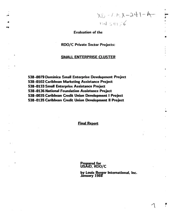 Evaluation of the RDO/C private sector projects : small enterprise cluster - final report