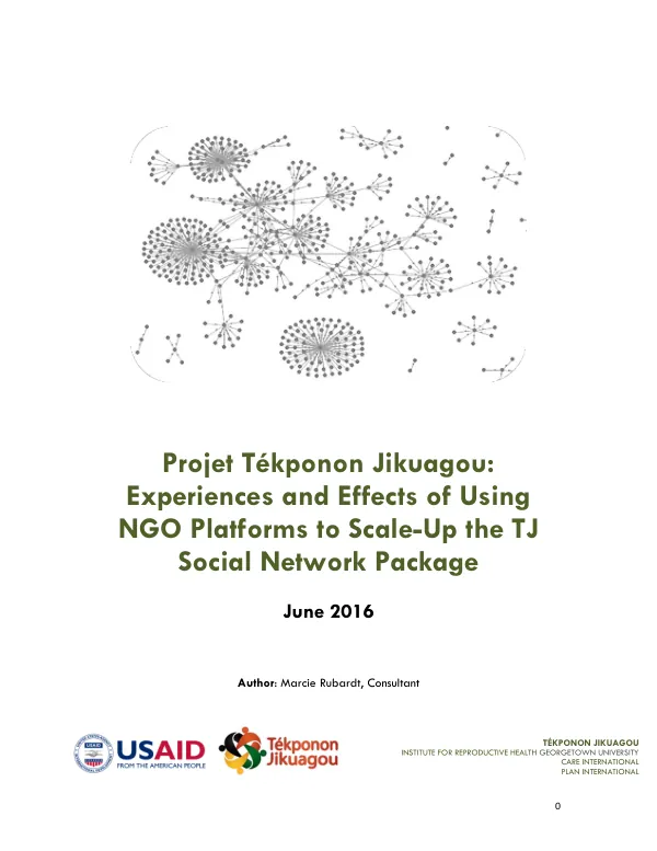 Environmental health activity mid-term assessment