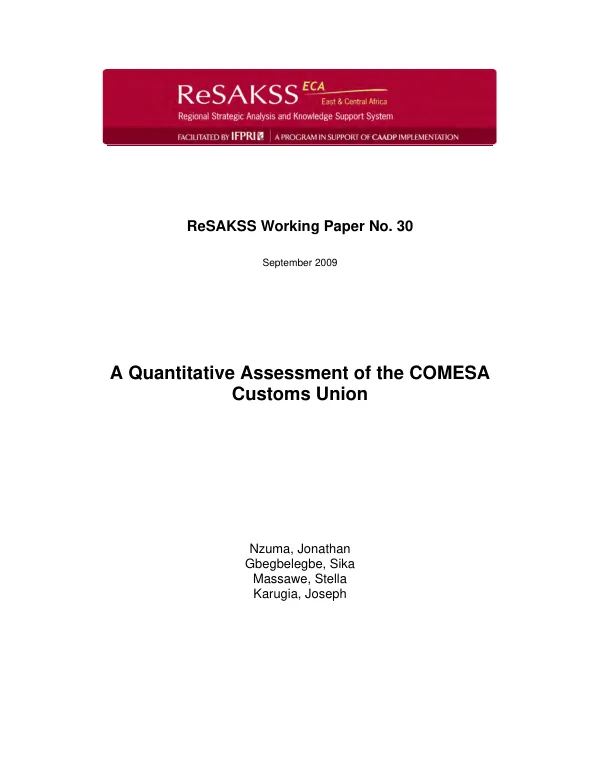 A quantitative assessment of the COMESA customs union