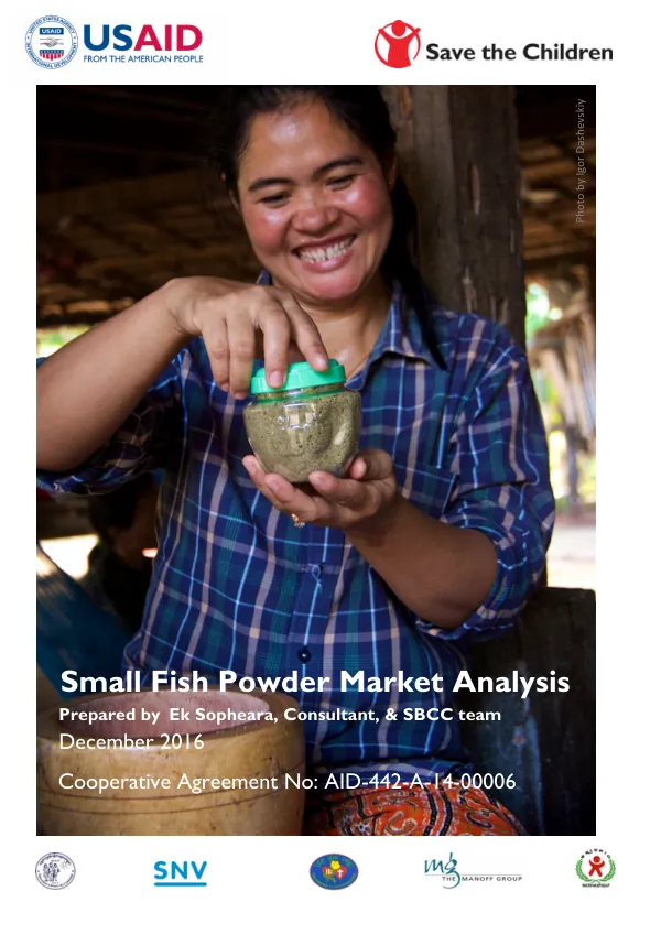 Small Fish Powder Market Analysis