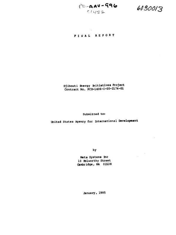 Final report : Djibouti energy initiatives project