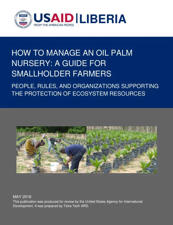 How to Manage an Oil Palm Nursery: A Guide for Smallholder Farmers