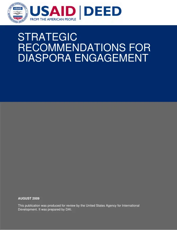 Strategic recommendations for diaspora engagement