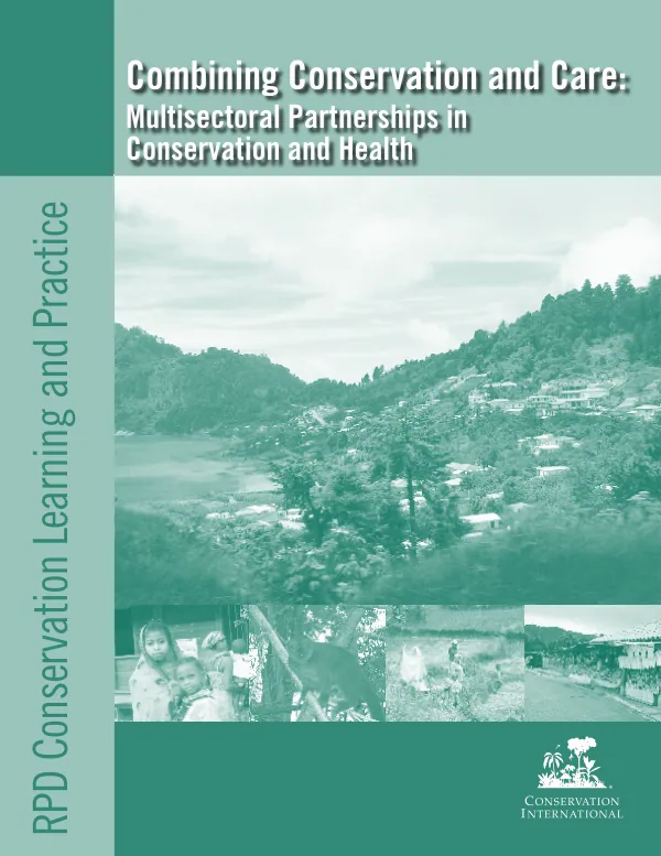 Local government borrowing manual
