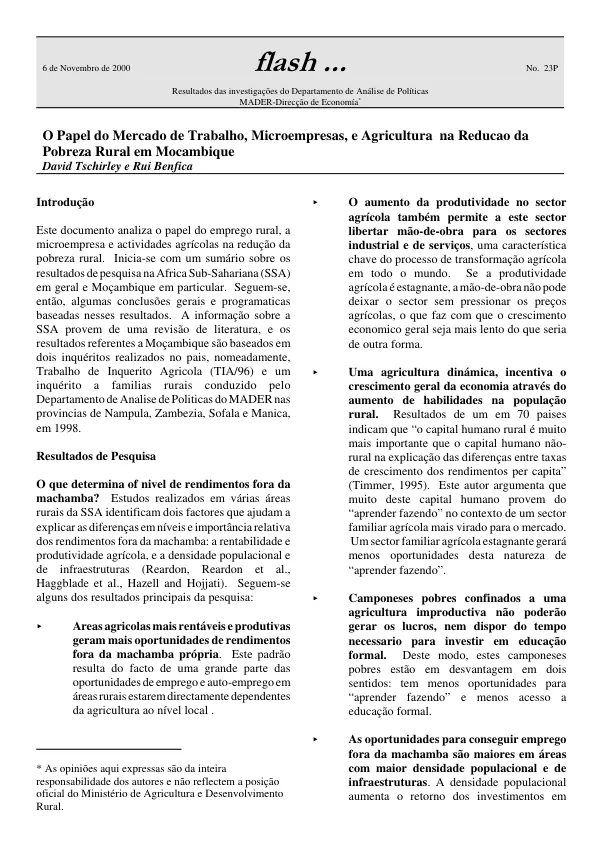 O papel do mercado de trabalho, microempresas, e agricultura na reducao da pobreza rural em Mocambique