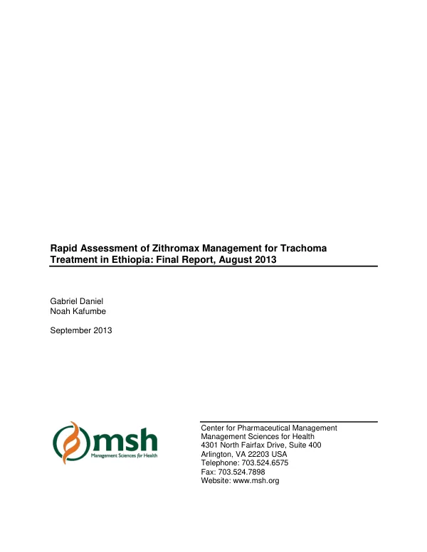 Lean pilot team implementation : final report