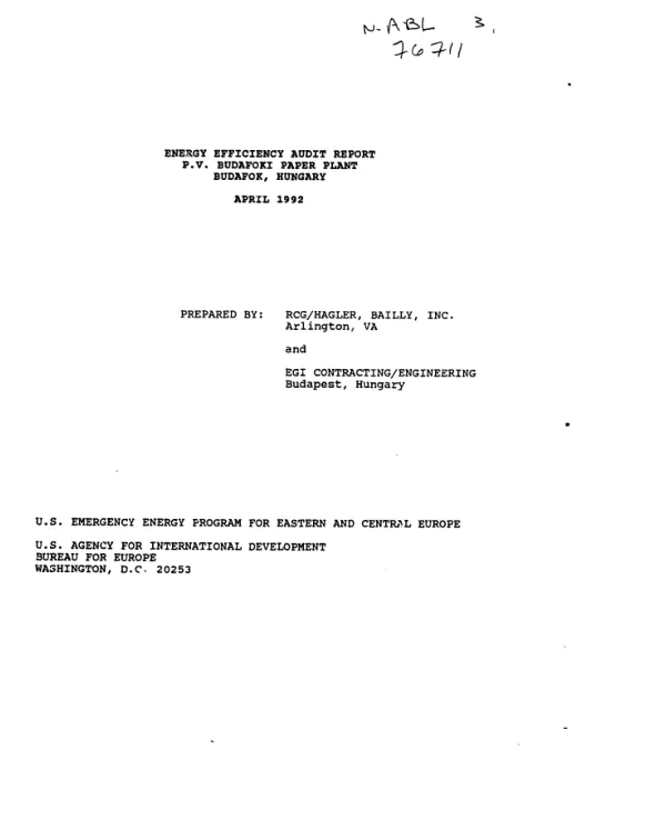 Energy efficiency audit report : P.V. Budafoki Paper Plant, Budafok, Hungary
