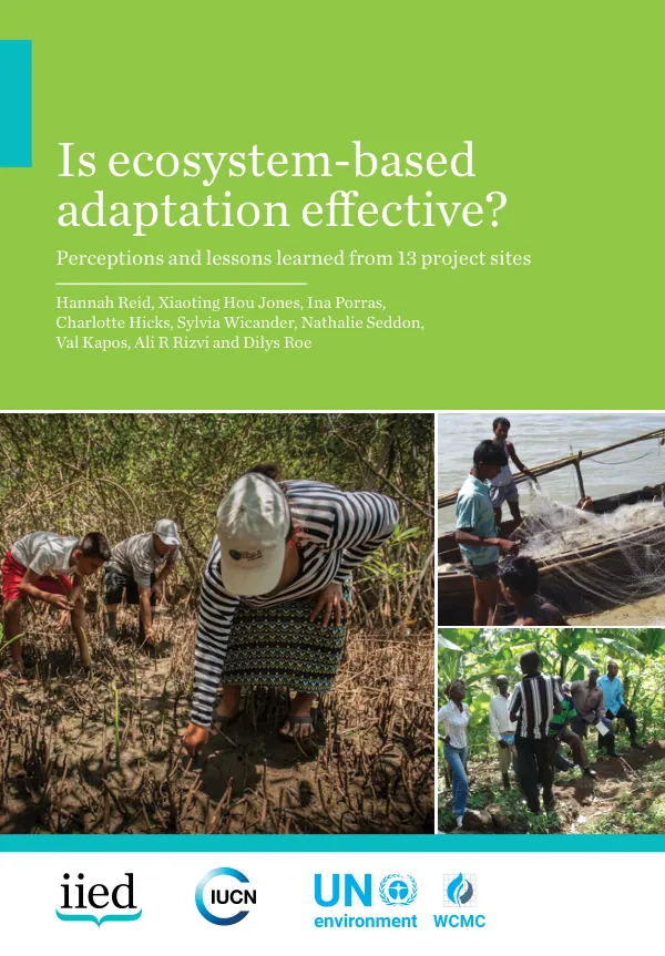 Is Ecosystem-Based Adaptation Effective? Perceptions and Lessons Learned from 13 Project Sites
