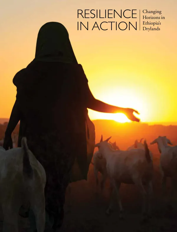 Resilience in Action: Changing Horizons in Ethiopia's Drylands