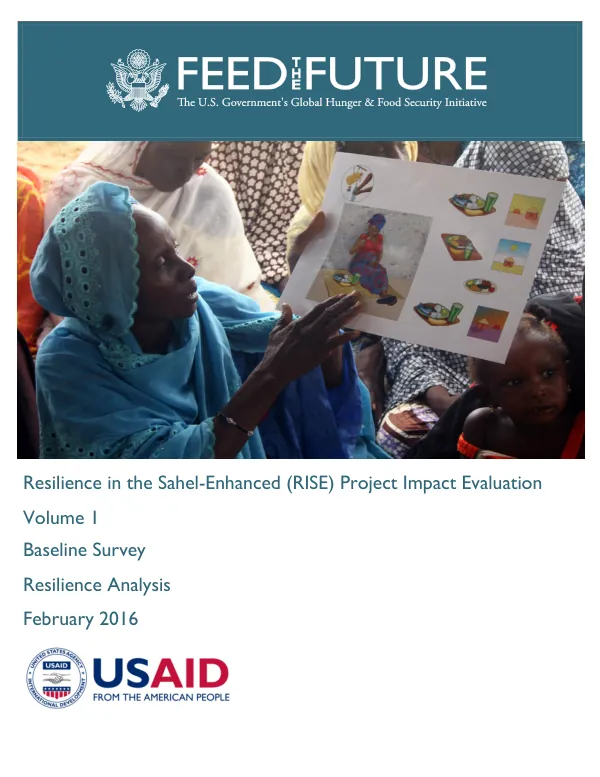 Resilience in the Sahel-Enhanced (RISE) Project Impact Evaluation – Baseline Survey, Resilience Analysis