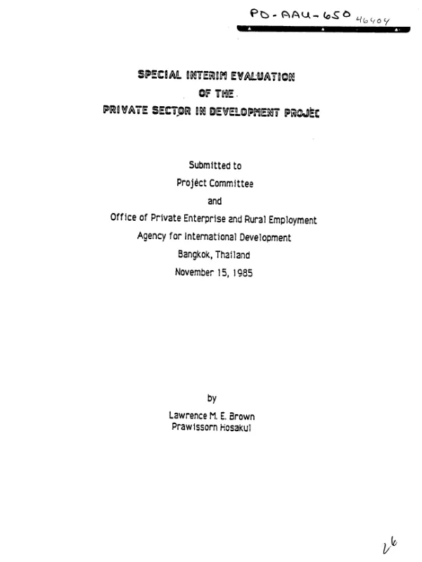 Special interim evaluation of the private sector in development project