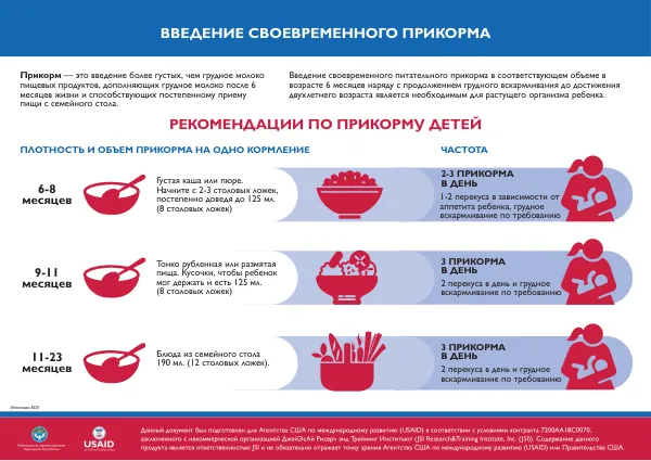 Introduction to Timely Complementary Feeding Infographic