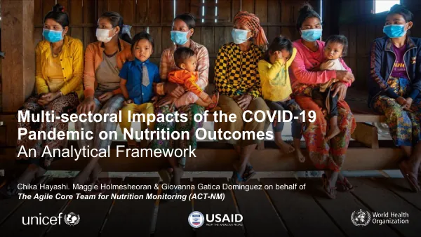 Multi-sectoral Analytical Framework: COVID-19 Impacts on Nutrition Outcomes