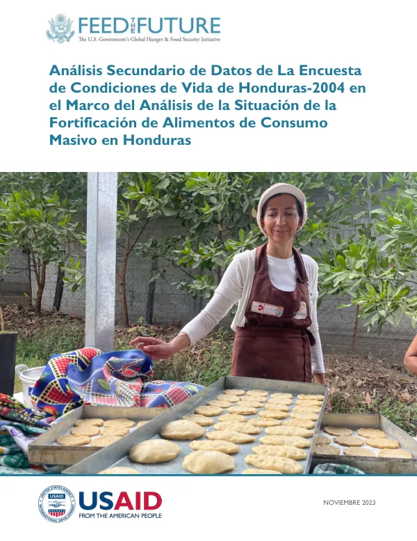 Analysis of Food Fortification and Nutrition in Honduras: 2004 National Survey Data