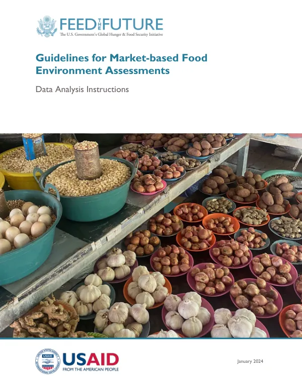 Guidelines for Market-based Food Environment Assessments: Data Analysis Instructions