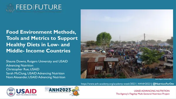 Food Environment: Methods, Tools, and Metrics for Healthy Diets in LMICs
