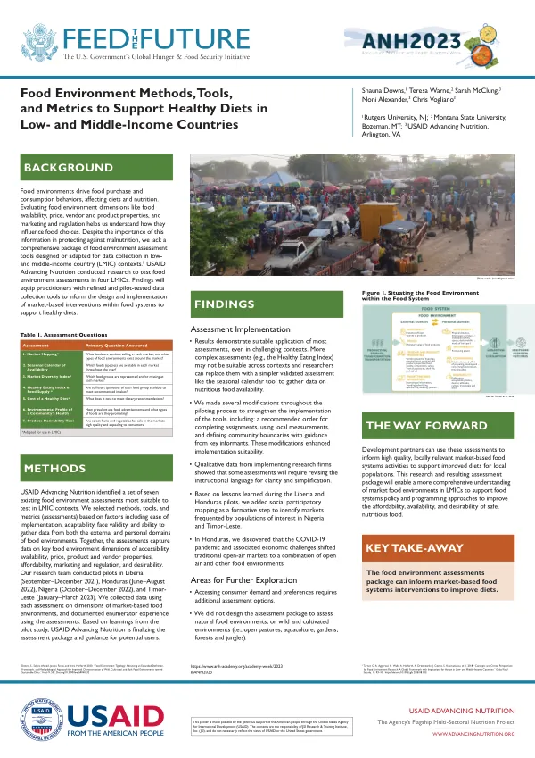 Food Environment Methods, Tools, and Metrics to Support Healthy Diets in LMICs