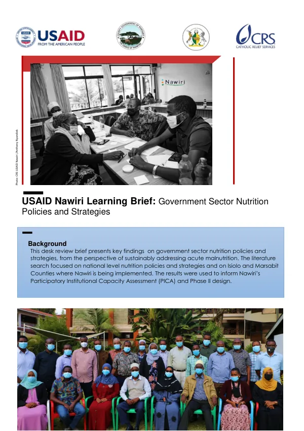 Government Sector Nutrition Policies and Strategies