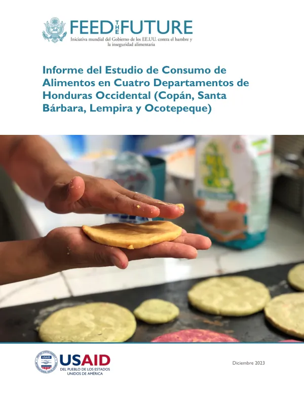 Food Consumption Study Report: Four Departments in Western Honduras – USAID Avanzando la Nutrición