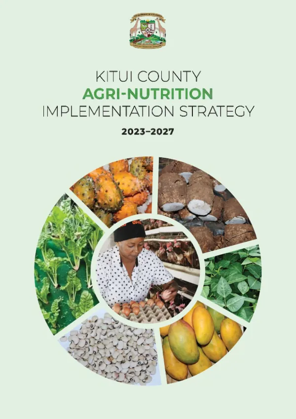 Kitui County Agri-Nutrition Implementation Strategy 2023-2027