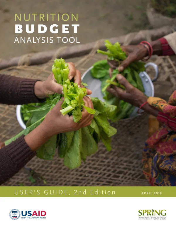 Nutrition Budget Analysis Tool: User's Guide, 2nd Edition