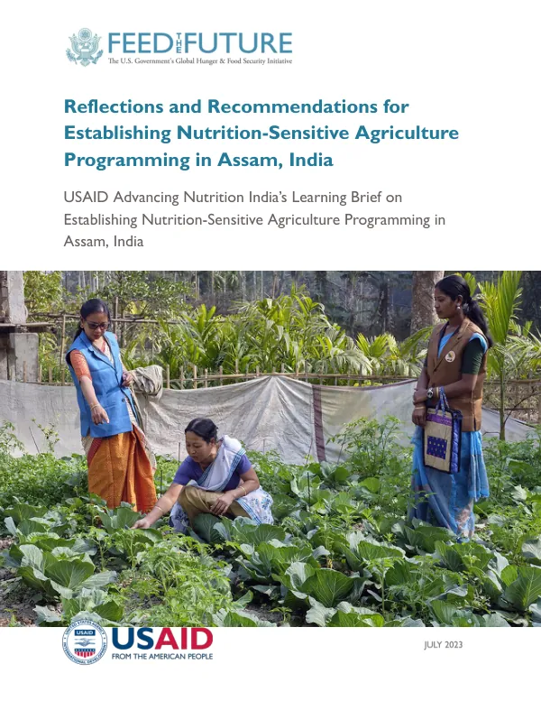 Reflections and Recommendations for Nutrition-Sensitive Agriculture in Assam, India