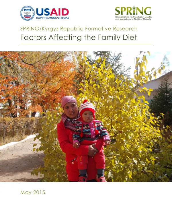 Factors Affecting Family Diet: USAID SPRING Project Report
