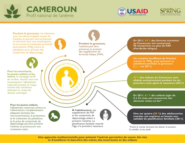 SPRING National Anemia Profile - Cameroon (French)