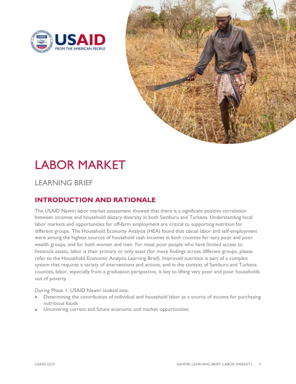 Labor Market Assessment Learning Brief