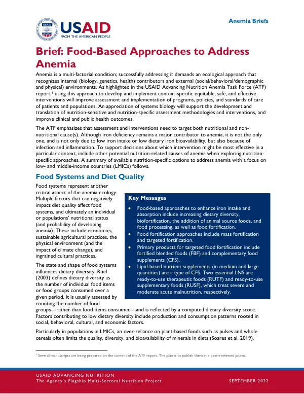 USAID Anemia Food-Based Approach Brief 2022