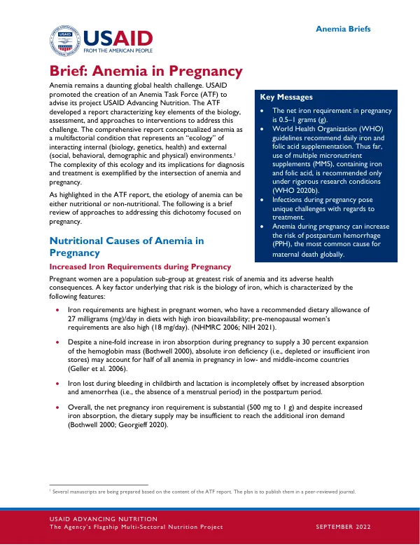 USAID Anemia in Pregnancy Brief (September 2022)
