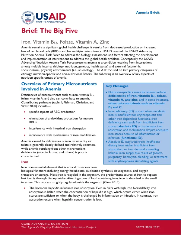 USAID Advancing Nutrition: The Big Five Micronutrients Brief (September 2022)