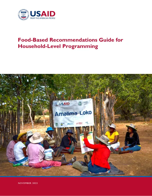 Food-Based Recommendations Guide for Household-Level Programming (November 2023)