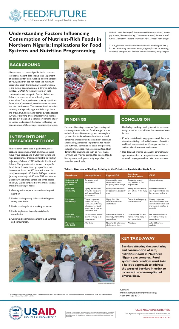 Understanding Factors Influencing Consumption of Nutrient-Rich Foods in Northern Nigeria: Implications for Food Systems and Nutrition Programming