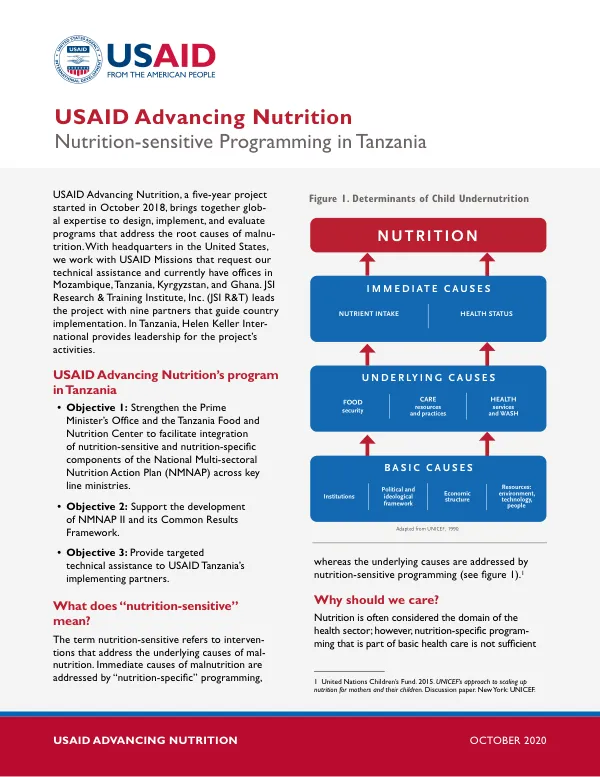 USAID Advancing Nutrition: Nutrition-sensitive Programming in Tanzania (October 2020)