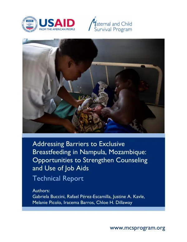 Addressing Barriers to Exclusive Breastfeeding in Nampula, Mozambique: Technical Report