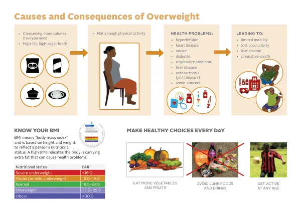 Causes and Consequences of Overweight and Obesity in Nigeria