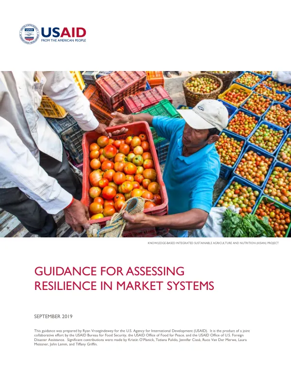 Guidance for Assessing Resilience in Market Systems