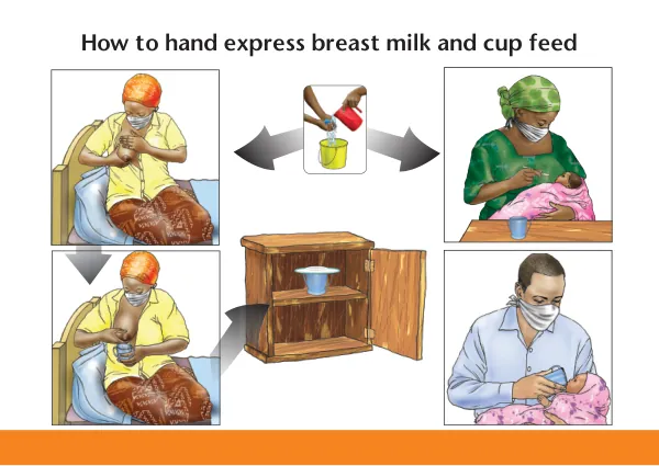 IYCF and COVID-19: Hand Expression and Cup Feeding Counseling Card