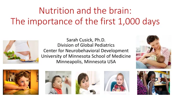 Nutrition and the Brain: The Importance of the First 1,000 Days