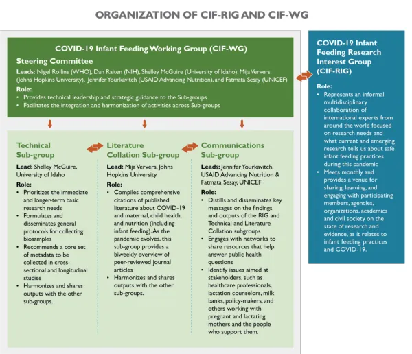 Organization of CIF-RIG and CIF-WG (December 2020)