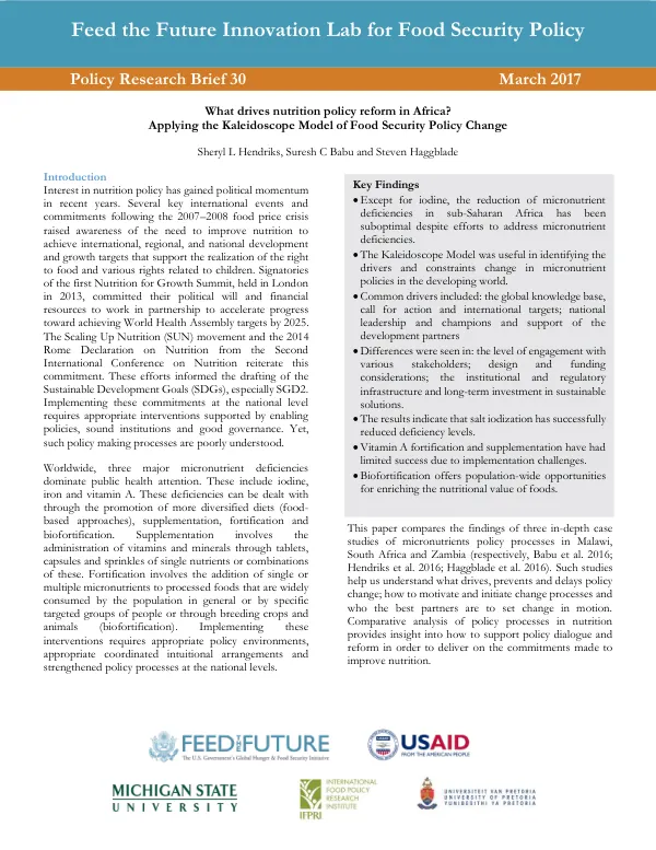 Policy Research Brief 30