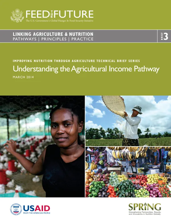 Understanding the Agricultural Income Pathway