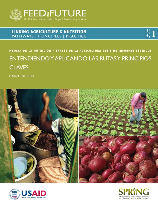 Technical Report: Improving Nutrition Through Agriculture