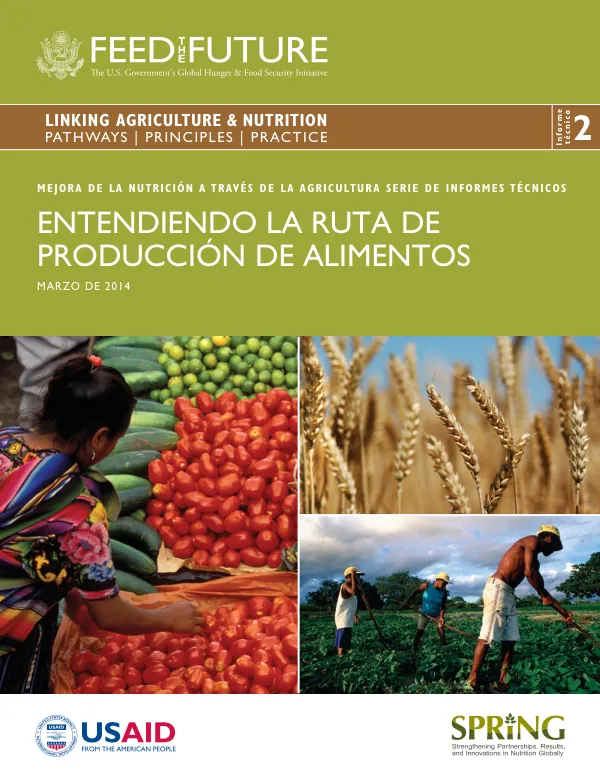 Technical Report: Understanding the Food Production Pathway for Improved Nutrition (SPRING Project)